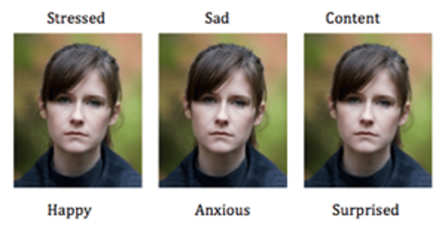 <p>a lack of emotional responsiveness</p>