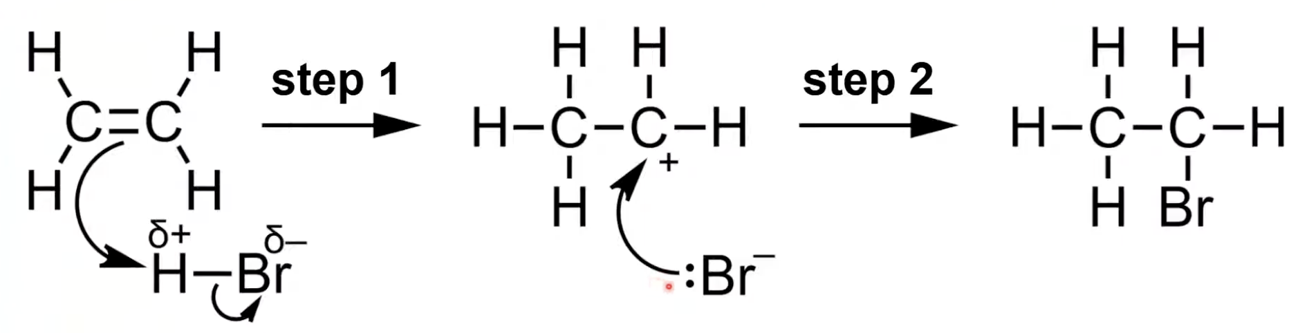 <p>HBr is polar</p><p>H bonds with one carbon forming a carbocation</p><p>Br⁻ attacks carbocation to form bromoethane.</p>