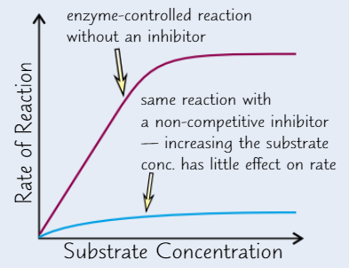 <ul><li><p><strong>Increasing substrate </strong>conc. has no effect on RoR - enzyme activity still inhibited </p></li></ul><p></p>