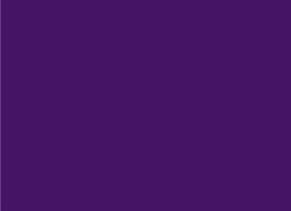 <p>purple</p>