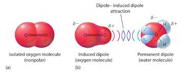<p>polarizability </p><p>since its temporary, based on how many electron clouds</p><p></p><p>more e clouds, more electrons that can shift into a shape</p><p>think pixels</p>