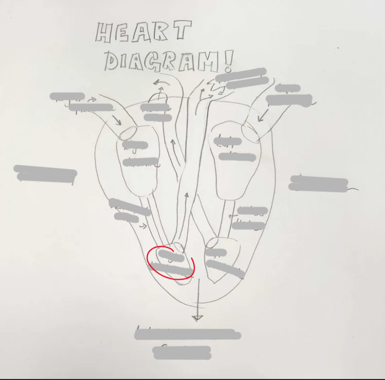 <p>What Structure is this? </p>