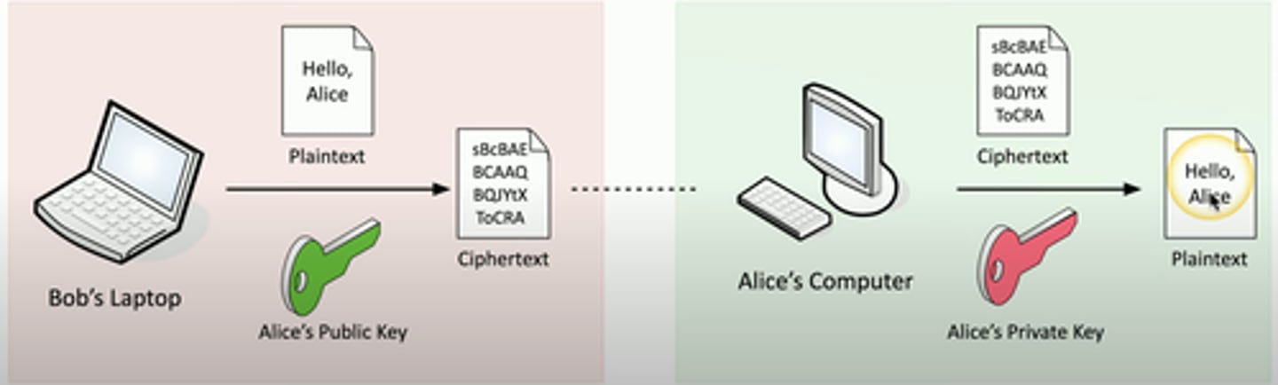 knowt flashcard image