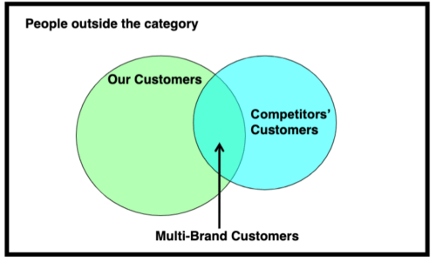 <p>loyalists</p><p>competitor loyalits</p><p>cheaters (multibrand consumers)</p><p>people outside of the category</p>