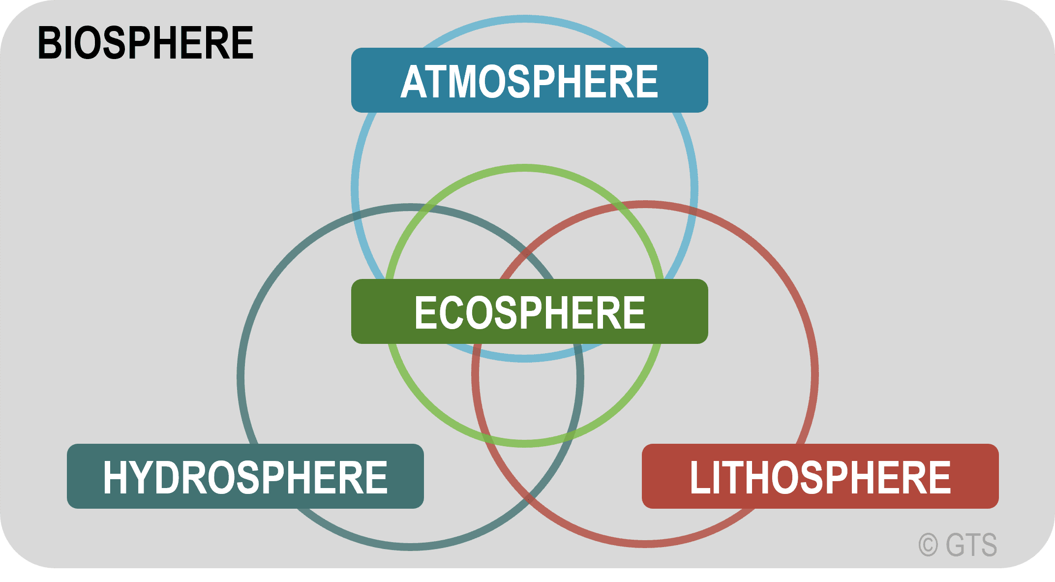 <p>Any set of interactions or parts organized to create a functional whole with a purpose. </p>