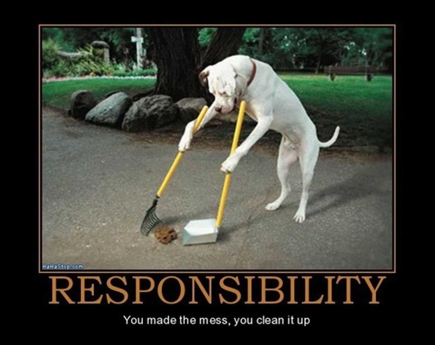 <p>responsibility</p>