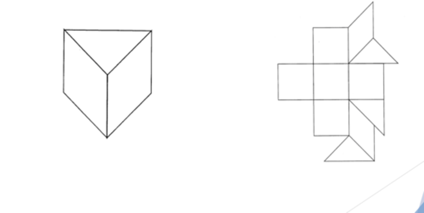 <p>have pt fill ill shapes based on memory</p>