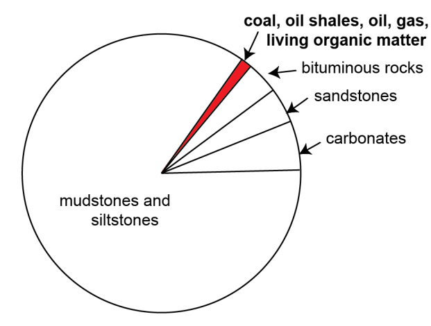 <ul><li><p>created as atmospheric CO2 formed into organic matter (C, H, O)</p></li><li><p>1% est of the total organic matter is preserved through burial in sediments</p></li></ul><p></p>