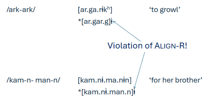 <p>Assign one violation mark for every morpheme or grammatical word <span style="color: red;">(input)</span> whose right edge does not align with the right edge of the prosodic word correspondent<span style="color: red;"> (output)</span></p><p></p><p>epenthesised sound is not part of the prosodic word —&gt; dirsupts the alignment</p>