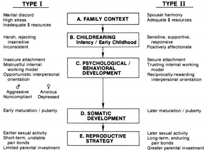 <p>• evolutionary theory of socialization</p>
<p>• relevant aspects: family context, childrearing (infancy, early childhood), psychological/behavioral development, somatic development, reproductive strategy </p>
<p>• 2 possible types: Type I (atypical, often “unhealthy”), Type II (typical, “healthy”)</p>