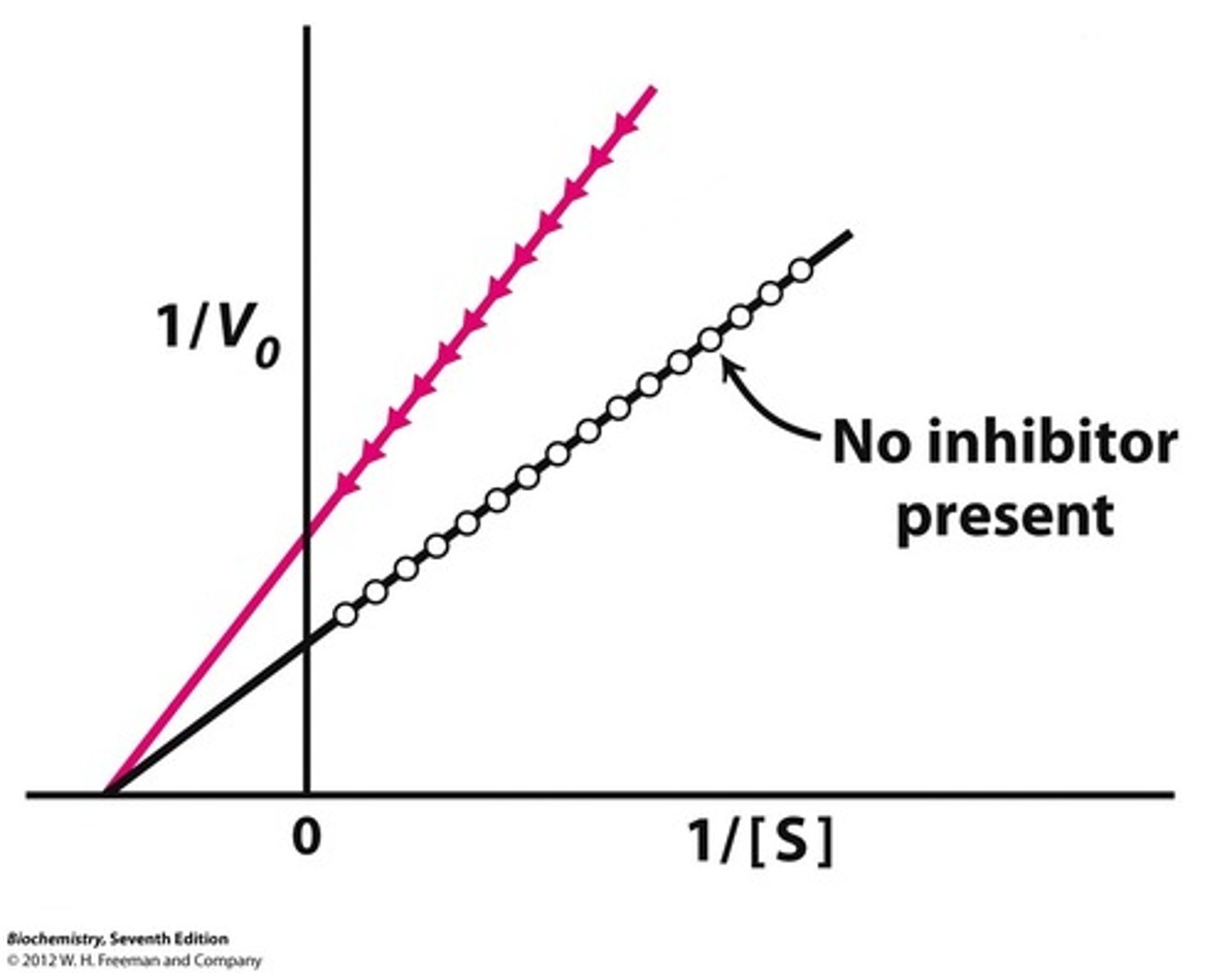 <p>Cross at x-axis</p><p>Changes Vmax</p><p>Same Km</p>
