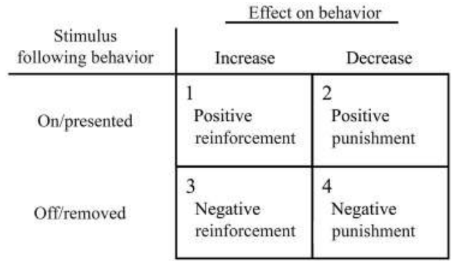 <p>behavior occurs when a stimulus is REMOVED but WEAKENED/DECREASED behavior</p>