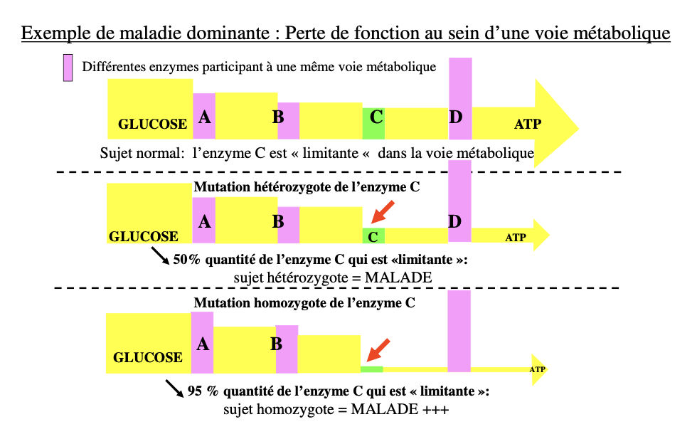 <img src="https://knowt-user-attachments.s3.amazonaws.com/117c038b-c487-42bb-93ac-263728756afe.png" data-width="100%" data-align="center"><img src="https://knowt-user-attachments.s3.amazonaws.com/29e426b7-13db-411d-b849-319c345d1094.png" data-width="100%" data-align="center"><img src="https://knowt-user-attachments.s3.amazonaws.com/2cca8910-29a0-461f-9c53-23fd40b346da.png" data-width="100%" data-align="center"><img src="https://knowt-user-attachments.s3.amazonaws.com/9ee023d7-647d-4f11-81f3-04a4214211f0.png" data-width="100%" data-align="center"><img src="https://knowt-user-attachments.s3.amazonaws.com/bc55da98-e39c-4e65-84b3-7cb0a638c770.png" data-width="100%" data-align="center"><p></p>