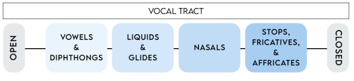 <p>Vowels/Diphthongs</p><ul><li><p>Produced by selectively amplifying open vocal </p></li><li><p>F1 and F2 are important for perception </p></li><li><p>Classified as: front, central, back + high, middle, low</p></li></ul><p>Liquids/Glides</p><ul><li><p>Produced with some constriction (oral semi-vowels, vowel-like) </p></li><li><p>Liquids: /r/ (palatal retroflex); /l/ (alveolar, only lateral in English)</p></li><li><p>Glides: /j/ (palatal, high tongue); /w/ (starts at high back position)</p></li></ul><p>Nasals</p><ul><li><p>Produced by occlusion of vocal tract and an open nasal</p></li><li><p>air flow through nasal cavity </p></li><li><p>lower resonant frequencies; reduced intensity (nasal murmur)</p></li></ul><p>Fricatives </p><ul><li><p>Produced by airflow through a narrow constriction</p></li><li><p>Creates turbulent noise</p></li><li><p>Obstruent sounds</p></li></ul><p>Affricates</p><ul><li><p>Produced by total occlusion of vocal tract and a slow release</p></li><li><p>Combination of a stop (occlusion) and fricative (narrow constriction)</p></li><li><p>may also be called semi-plosive</p></li></ul><p>Stops</p><ul><li><p>produced by complete blockage of airflow and a sudden release</p></li><li><p>Create a noise burst, may also be called plosive</p></li><li><p>perceived based on: frequency of burst and formant transitions</p></li><li><p>F1 and F3 (burst to vowel)</p></li></ul><p></p>