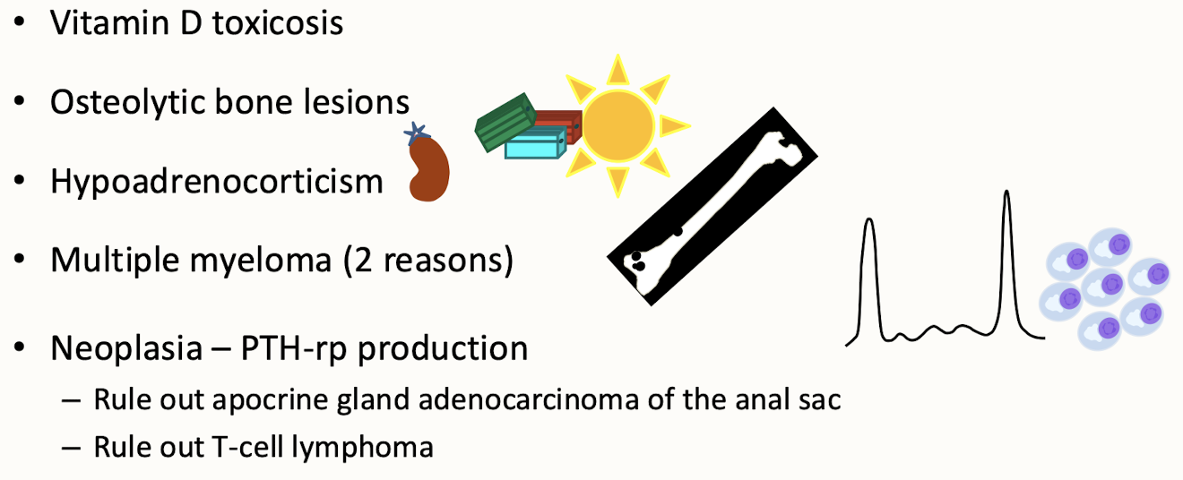 <p>includes primary hyperparathyroidism, malignancy, vitamin D toxicity, and kidney disease. </p><ul><li><p>PTH will be low-normal with any other cause of hypercalcemia&nbsp;</p></li></ul><p></p>