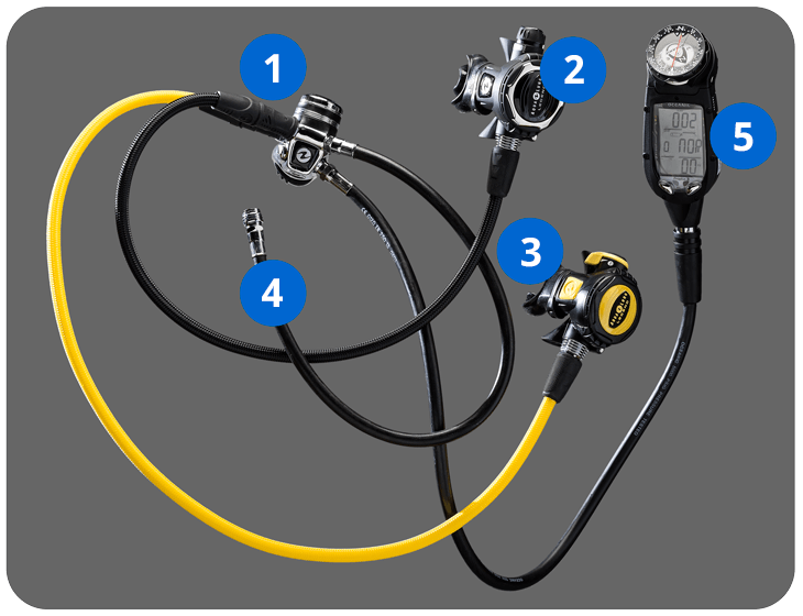 
1. hub → supplies air to components. connects to cylinder valve. reduces air pressure to intermediate pressure (above surrounding pressure)
2. second stage → part breathe from → lowers pressure from first stage (hub) and provides air on demand
3. alternate air source → extra second stage for sharing air w/ buddy
4. LPI hose → supplies air to BCD inflator
5. The SPG (submersible pressure gauge) /computer → indicates air pressure remaining in cylinder in bar or psi