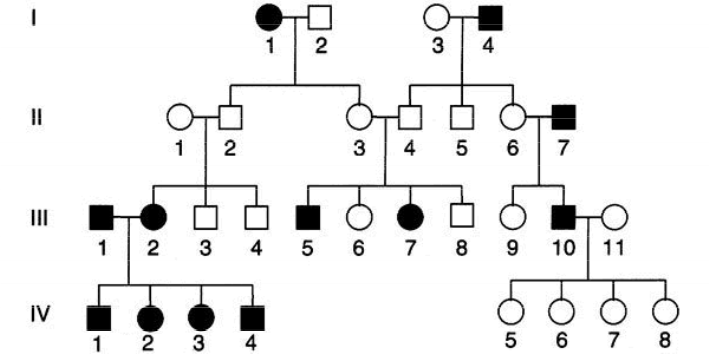   

This pedigree documents an autosomal recessive trait. Remember, affected individuals are represented by filled in shapes. What is the genotype of individual 6 at generation II?

  

A. Homozygous Dominant

B. Homozygous Recessive

C. Heterozygous

D. There is not enough information given to tell.