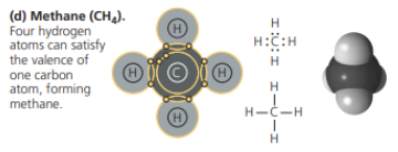 Molecules consist of two or more covalently bonded atoms.