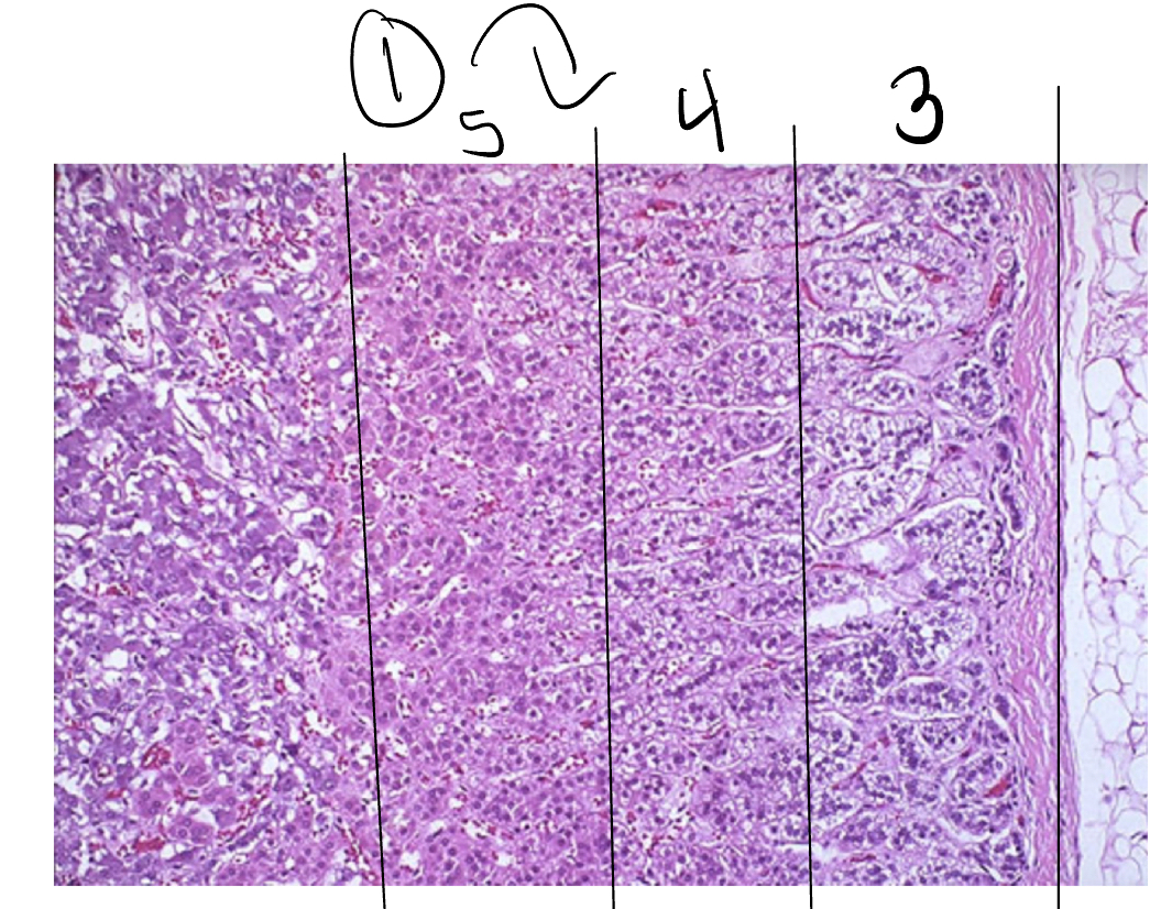 <p>1</p>