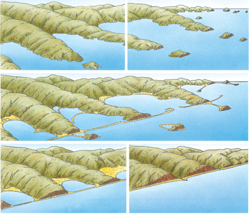 relatieve zeespiegelstijging. oude landschappen verdwijnen onderwater. (fjordenkust en riakust) 