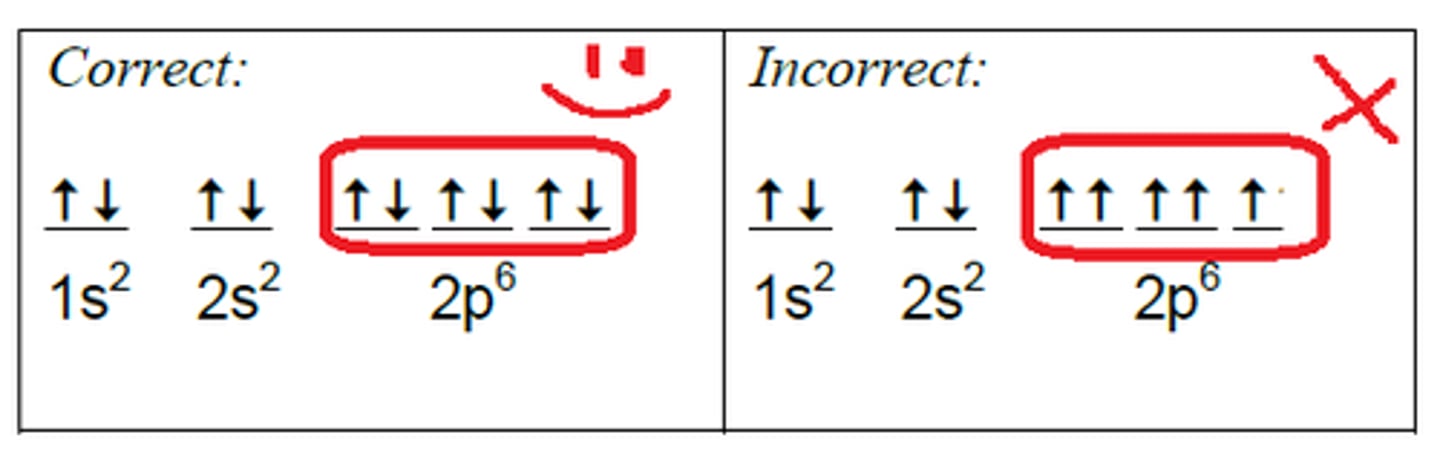 <p>- NO 2 ELECTRONS CAN BE IN SAME PLACE AT SAME TIME</p><p>- orbital may only contain 2 e- each w opposite spin directions</p><p>(no two electrons in the same atom can have the same set of four quantum numbers)</p>