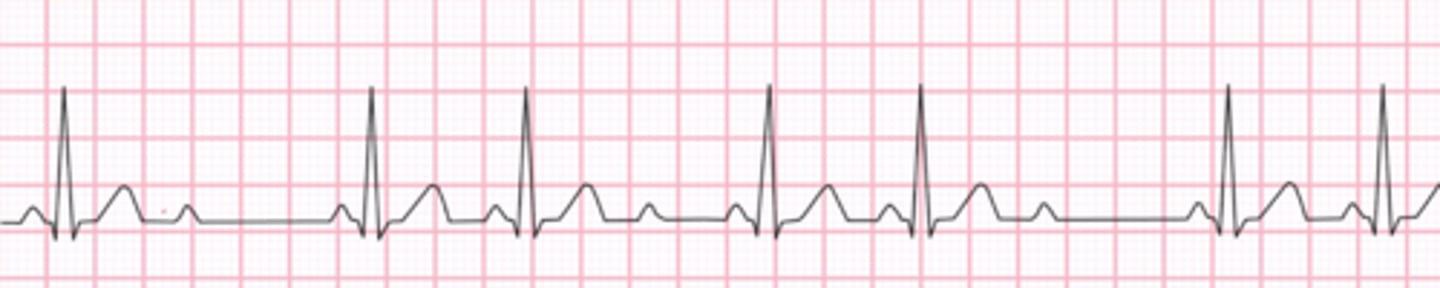 <p>What are the findings</p>