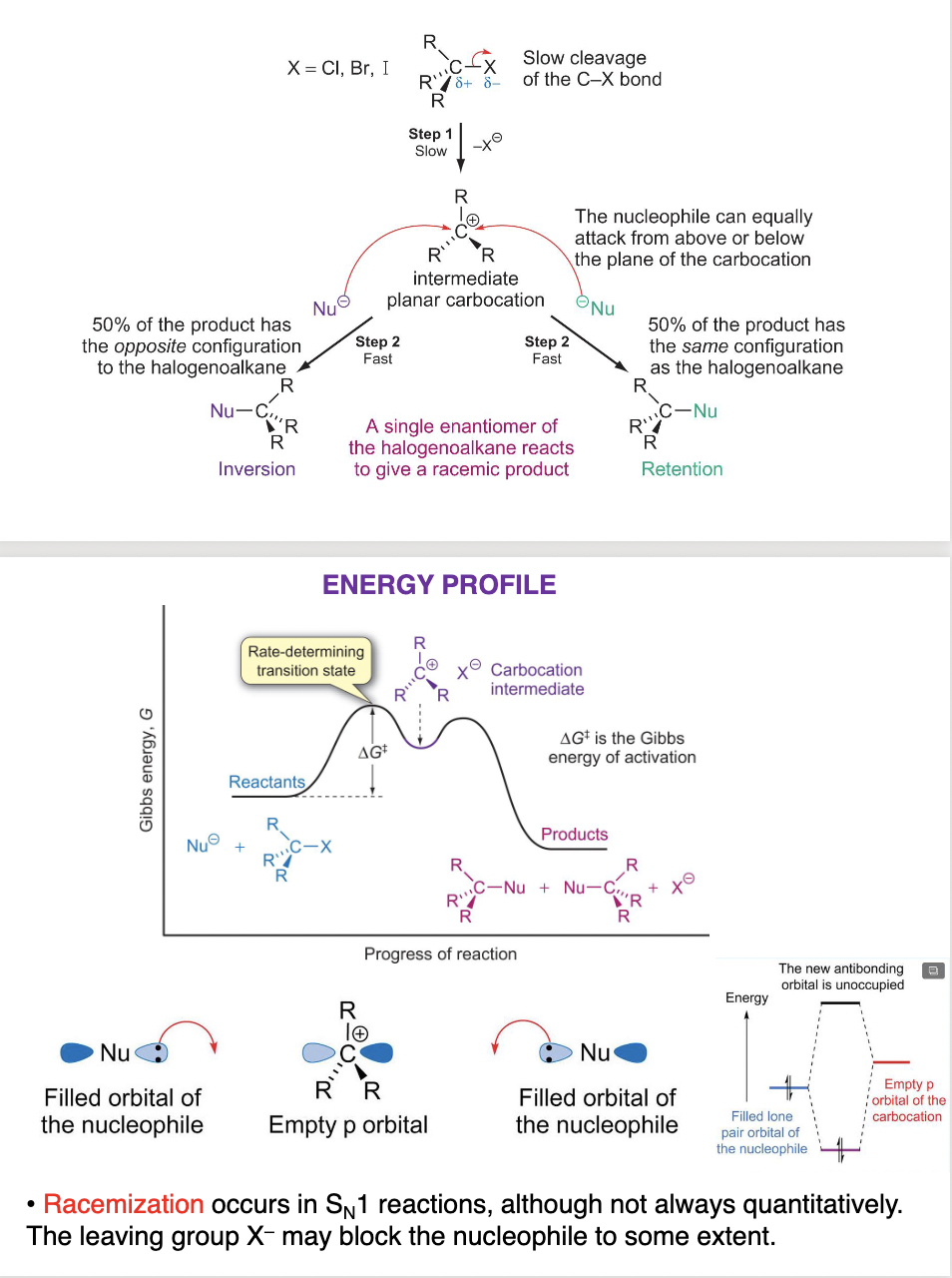 Chem final exam - organic chemistry Flashcards | Knowt