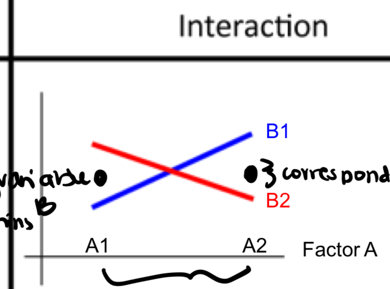 <p>is there an interaction? is there a main effect and why</p>