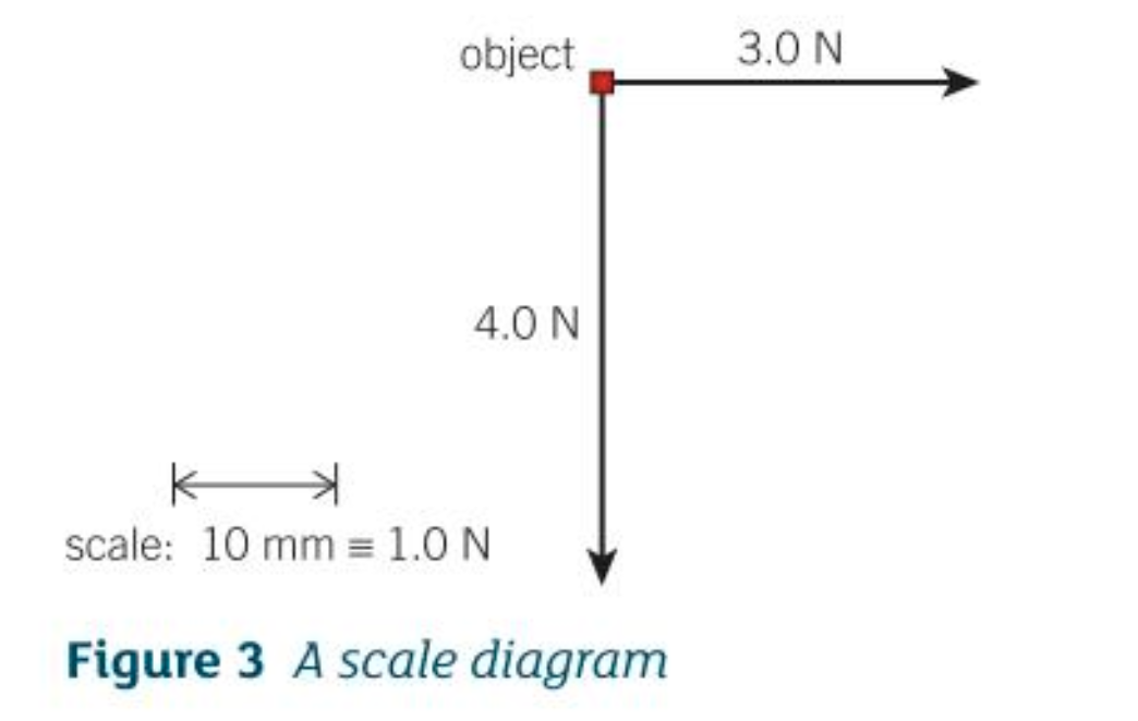 <p>Scale diagram</p><ul><li><p>1 unit of distance represents a force of 1N</p></li><li><p>30 mm arrow and 40 mm arrow</p></li></ul>