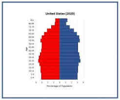 <p>Population pyramid where the population is not increasing or decreasing by a significant rate</p>