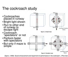 <p>the phenomenon that describes how people tend to perform simple well-learned tasks better when other people are present</p>