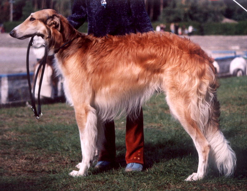 <p></p>