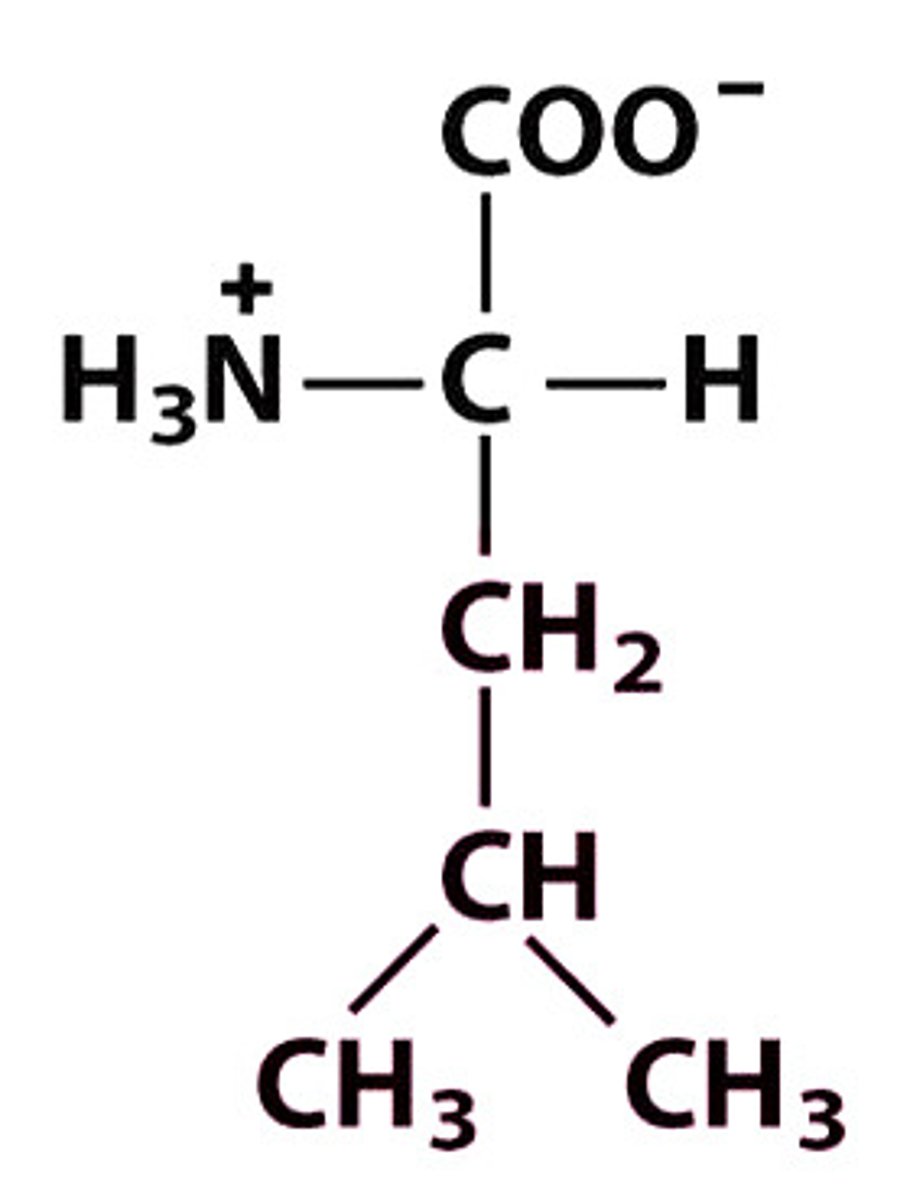 <p>Give the symbol, abbreviation, name of this amino acid</p>