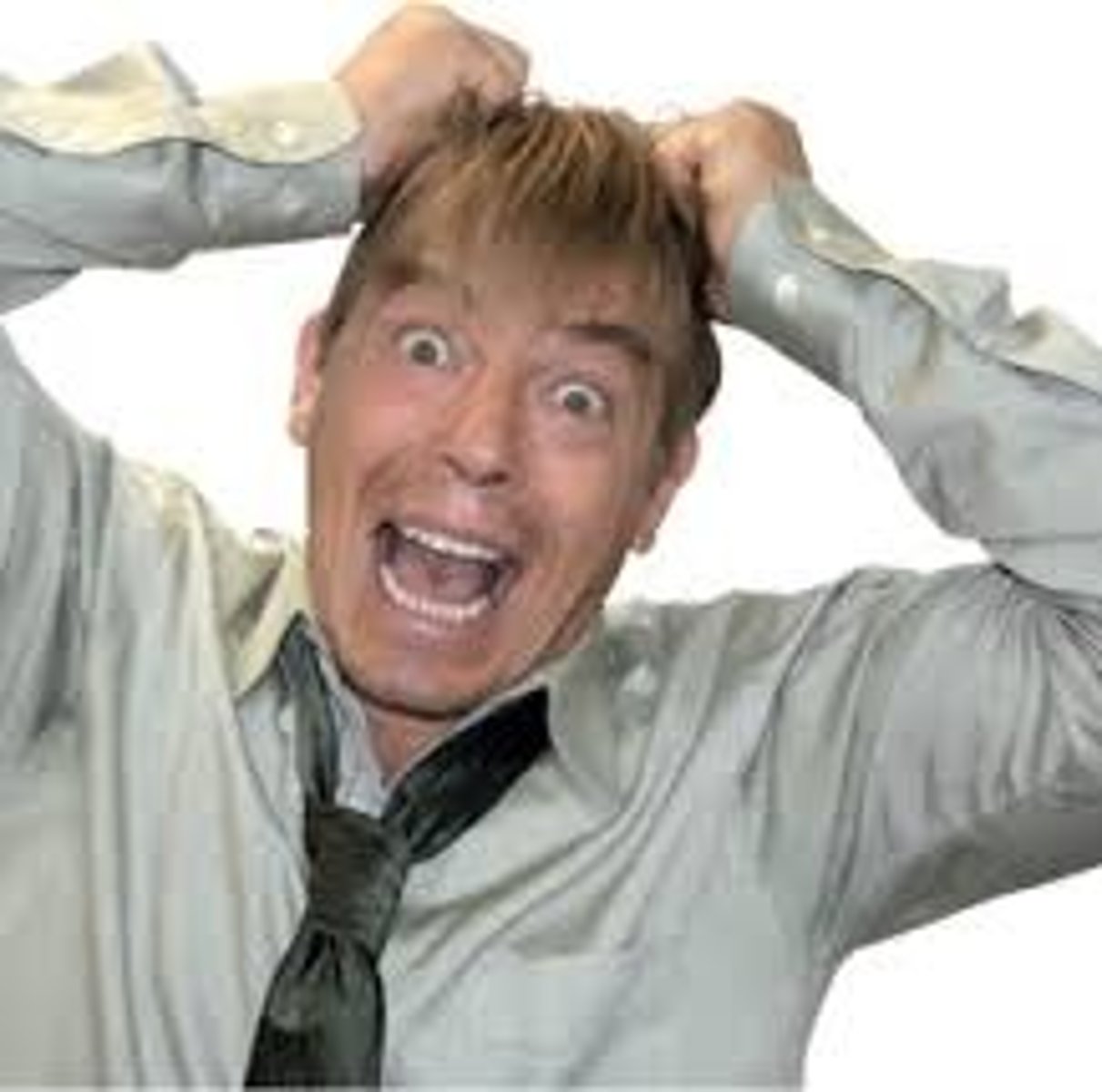 <p>wild or distraught with fear, anxiety, or other emotion</p>