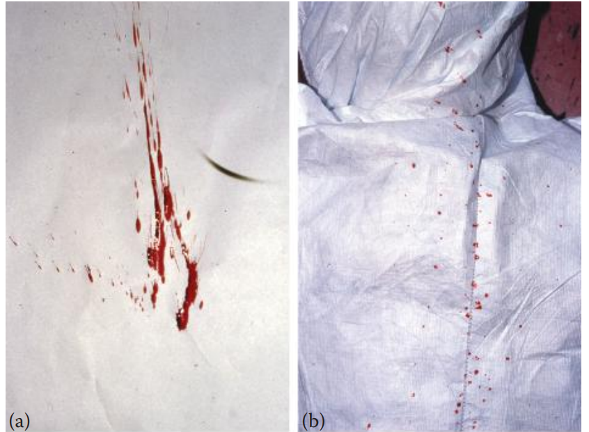Cast-off patterns. Spatter stains are projected onto (a) a covered wall and (b) a lab coat. (© Richard C. Li.)
