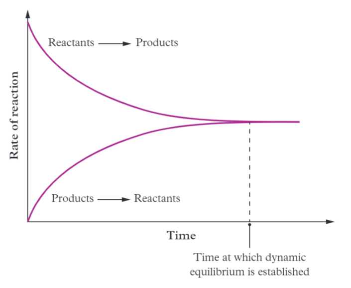 <p>A graph where <strong>equilibrium is reached</strong> and when the forward &amp; reverse reaction rate is the same.</p>