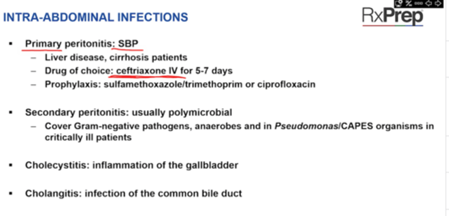<p>SBP</p><p>1st: DOC ceftriaxone</p><p>2nd: bactrim or ciprofloxacin</p>