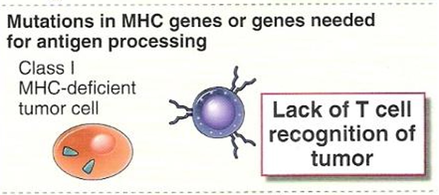 <p>lack of T cell recognition of tumor</p>