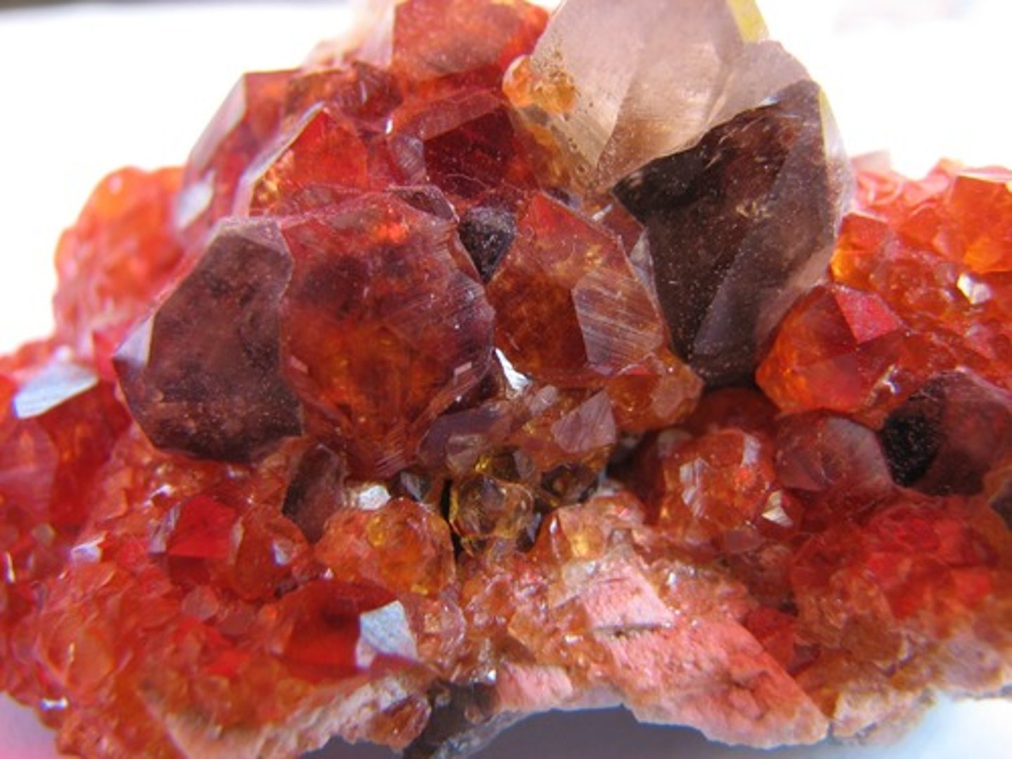 <p>Garnet group mineral</p>