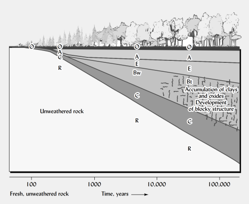 <p>how does <strong>time affect soil formation?</strong></p>