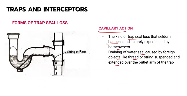 <p>Capillary Action</p>