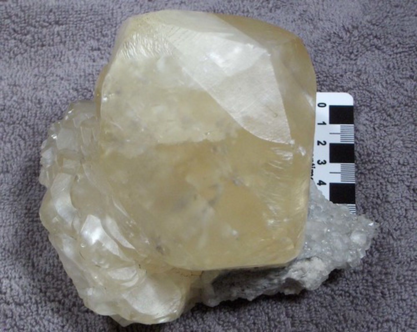 <p>Mineral</p><p>Color: white/clear</p><p>Streak:</p><p>Layers:</p><p>Texture:</p><p>Shiny:</p><p>Hardness:</p><p>Other:</p><p>reacts to acid</p>