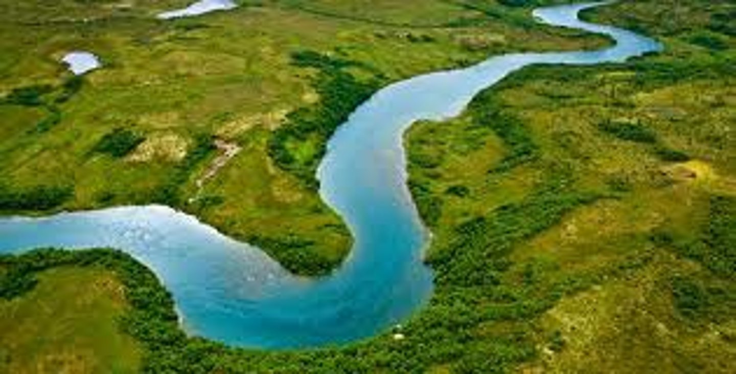 <p>rivers</p>