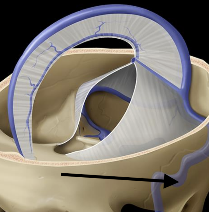 <p>Name the structure</p>