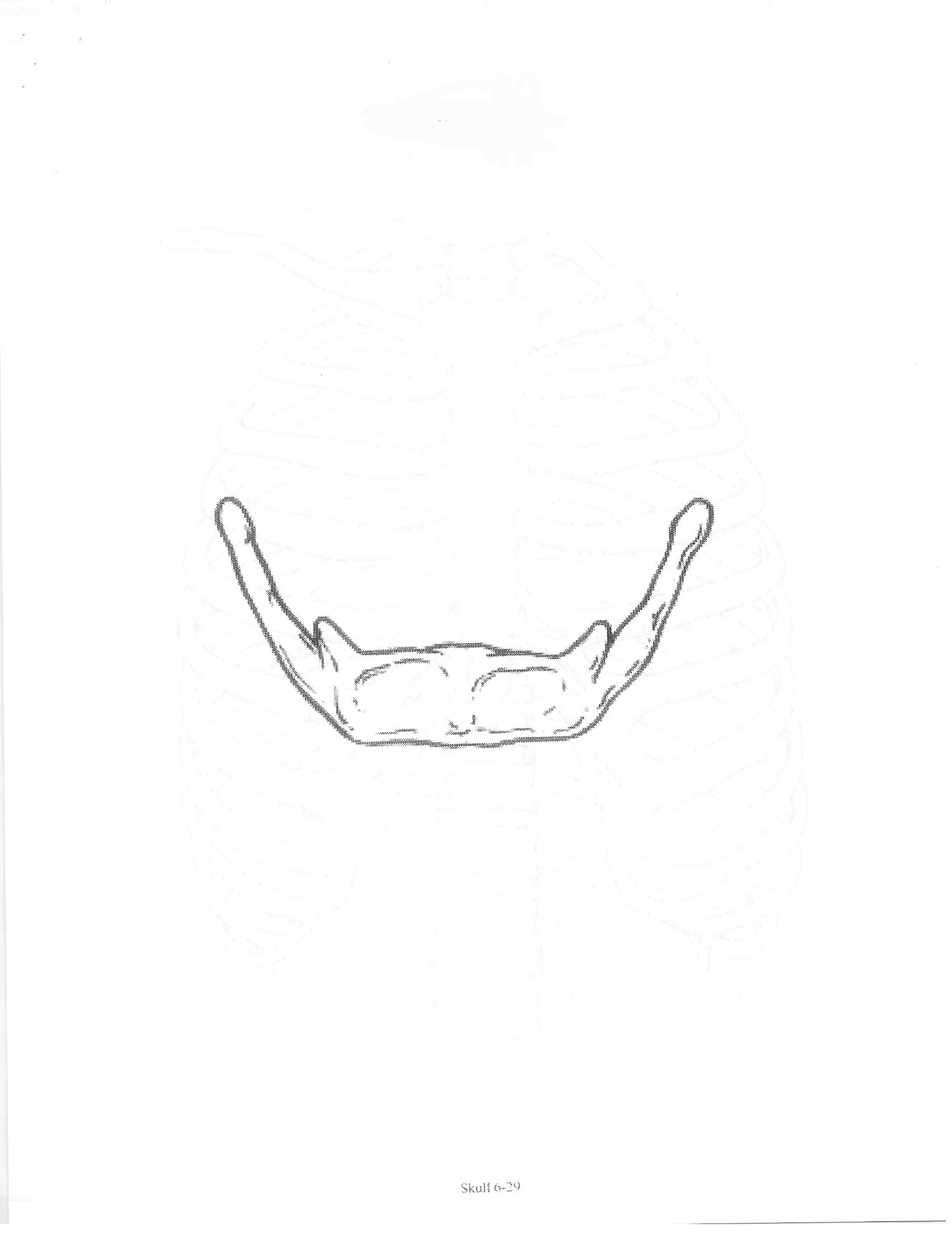 <p>ID bone</p>