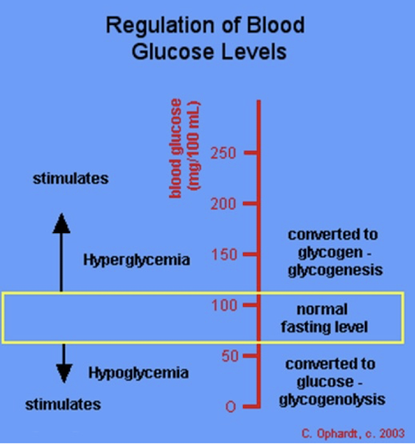 <p><span>hypoglycemic (low blood sugar), and hyperglycemic (high blood sugar) states</span></p>