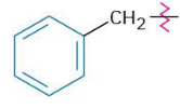 <p>A benzyl group</p>