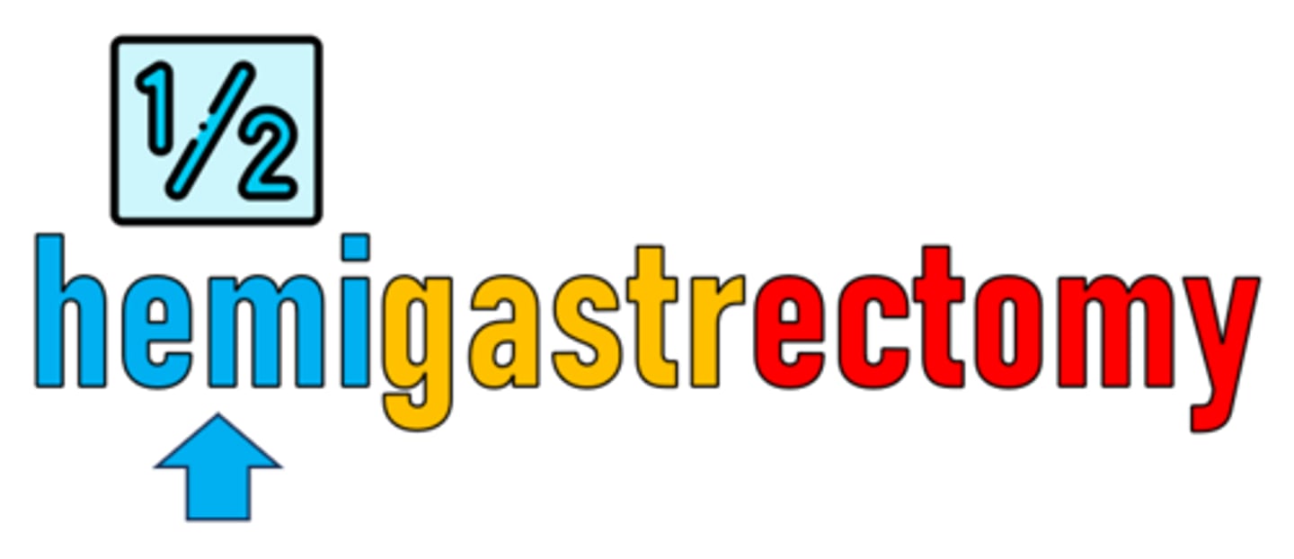 <p>the part of a word that comes before the root and alters the word's meaning</p>