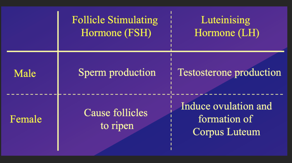 <p>any group of&nbsp;hormones&nbsp;secreted by the&nbsp;pituitary which&nbsp;stimulate&nbsp;the activity of the&nbsp;gonads. i.e. hormones which go to the gonads</p><p></p><p>two types which have different effects in males and females</p>