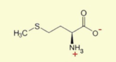 <p>looks like M with an S before the end</p>